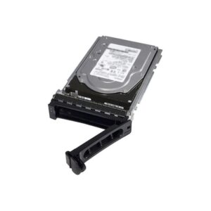 DELL disk 960GB SSD SATA Read Int. 6Gbps 512e / cabled/ 2.5" in 3.5" frame/ for PowerEdge T160