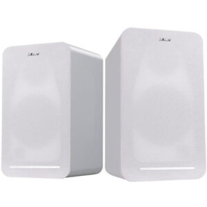 FENDA F&D speaker R40BT/ 2.0/ 60W/ wooden/ white/ BT4.2/ USB/ optical input/ remote control